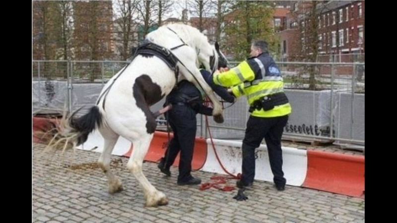 В московском метро молодые страж порядка