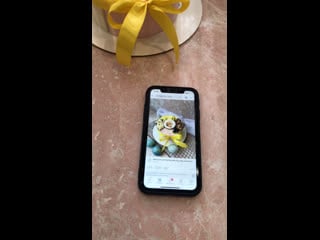 Live mycitycake by olga anisimova