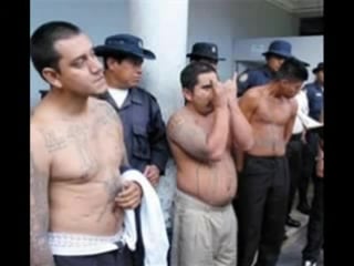 Ms13 mara salvatrucha