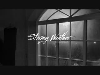 Cola koala stormy weather (live)