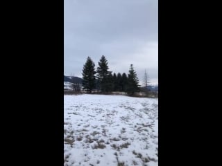 Jm playing “whiskey, whiskey, whiskey” on the harmonica in montana