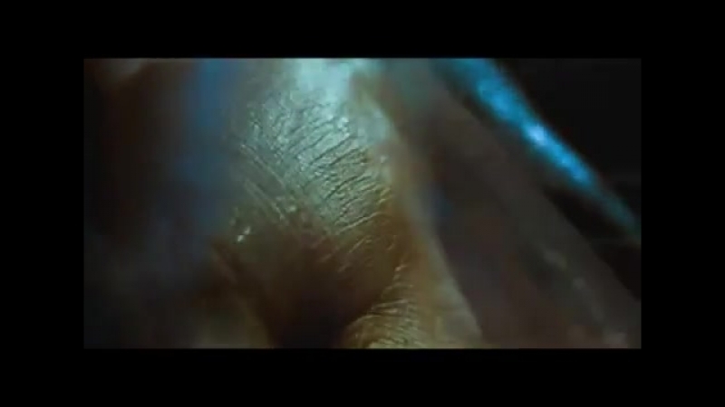 Невеста полоза фан фик драмиона