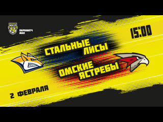 Live! париматч мхл «стальные лисы» «омские ястребы» ( – 1500)