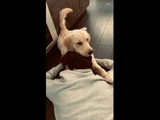 Camila cabello’ instagram story, mar 16, 2021