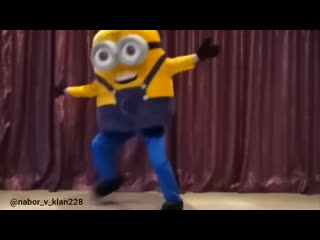 Миньон флексит