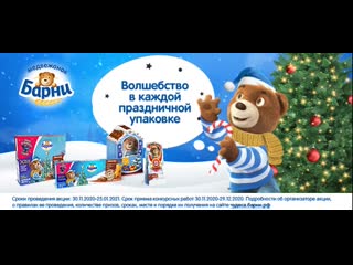 Barni banner xmas 537х240 v2