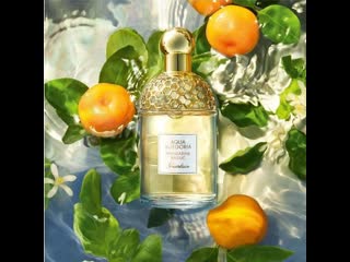 Aqua allegoria mandarine basilic guerlain в наличии марафет донецк 0713967072