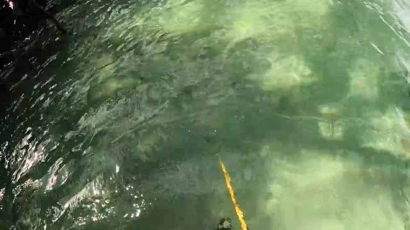 [evgeniy panasyuk] остров акул [часть 2] встреча с акулой выживание на новом необитаемом острове №27