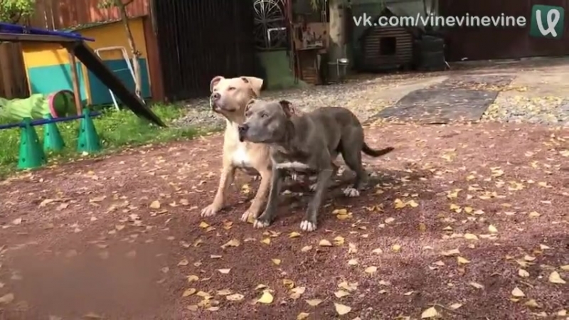 Синхронное выполнение команд