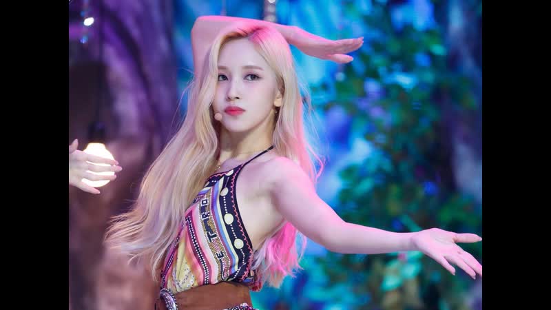 Twice | mina | fancam