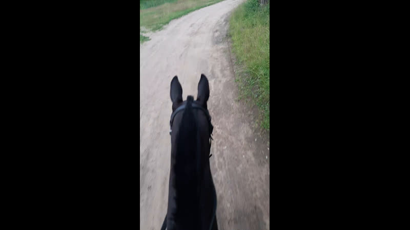 Бежим встречать каприоль