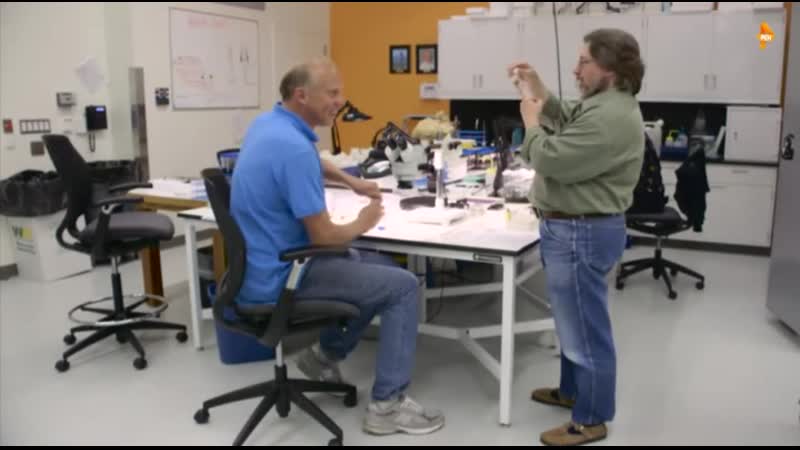 Самые шокирующие гипотезы откуда на земле появилась жизнь? (эфир от 26 03 2019)