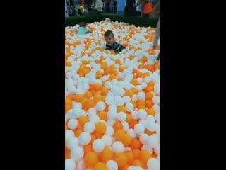 Vid 20200105 150435 mp4