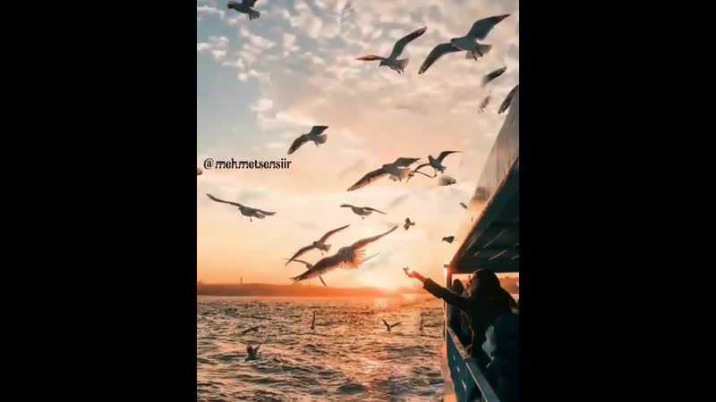 Istanbul / стамбул / gönül almak / турция / turkey / türkiye / красивые посты