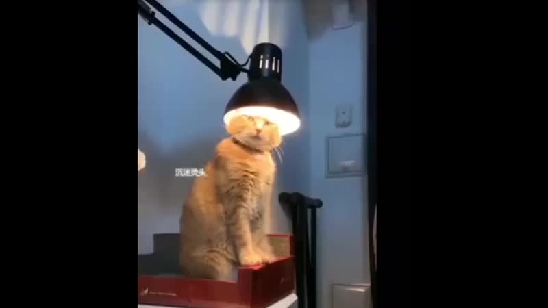 Ты чего то против имеешь