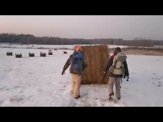 Vid 20201212 153013 mp4