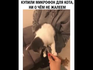 Отстаньте от кота