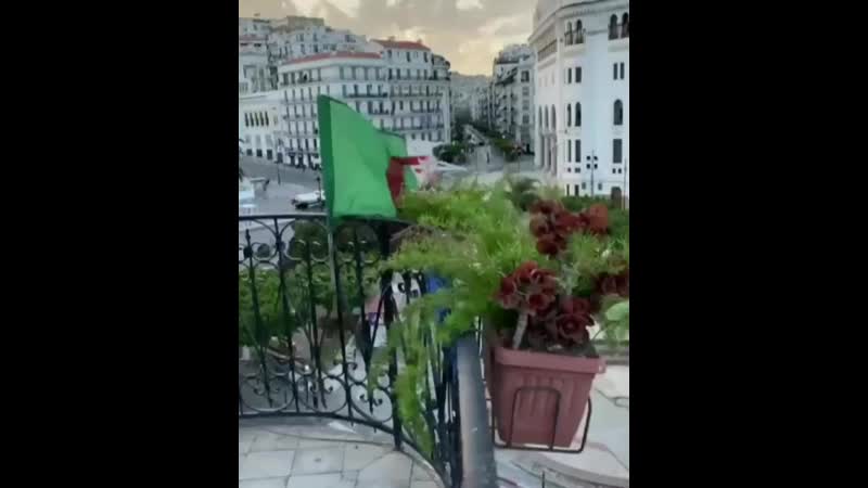 Алжир 🇩🇿