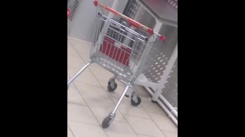 Женщина закрыла молодые в камере хранения