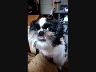 Vid 20160611 104132 mp4