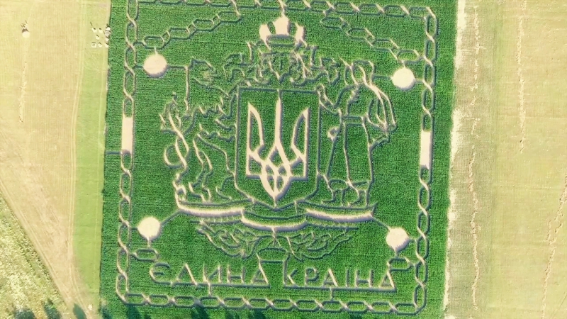 У києві створили велетенський лабіринт з кукурудзи, площею понад 40 тисяч м²