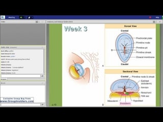 26th lecture kaplan step 1 ca gross anatomy seiden june 29th, 2015