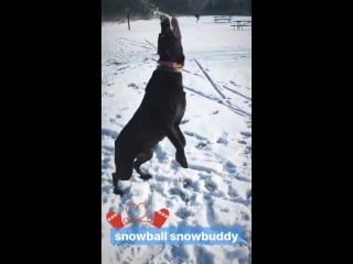 Emily rudd via instagram stories