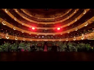 Directo de espana la ópera опера для растений