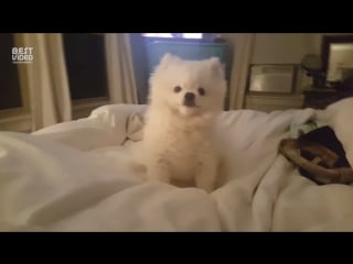 Малютка миленько чихает