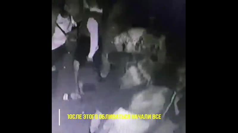 Снято porn video – Весёлое видео снято в ночь на 9 марта в клубе «новый вавилон» в белгороде