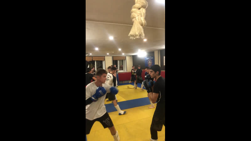 Спарринги / совместная тренироа