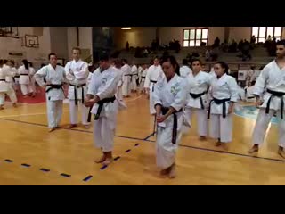 Karate shito ryu