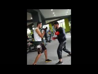 Raul mamedov fighter