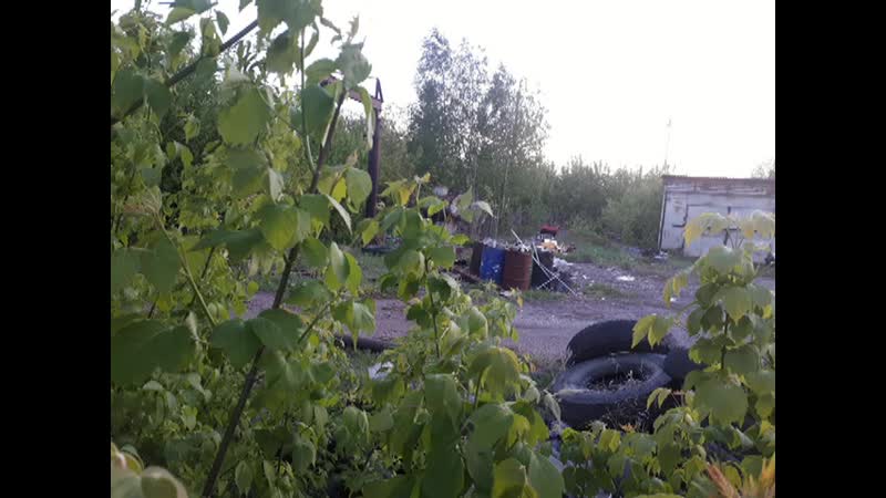 Мусорная действительность