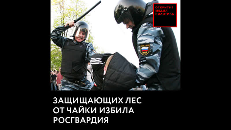 Защищающих лес от чайки избила росгвардия