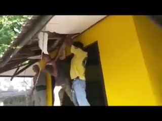 Служба спасения змей на самуи