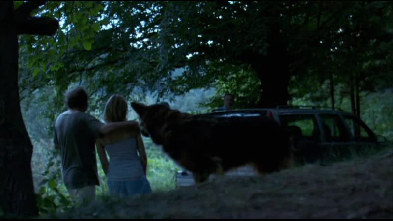 33 сцены из жизни | 33 sceny z zycia | германия, польша, драма, 2008 | реж малгожата шумовска