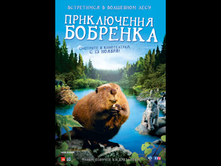 Приключения бобрёнка / mèche blanche, les aventures du petit castor (2007 франция) 2008) документальный молодые в кино