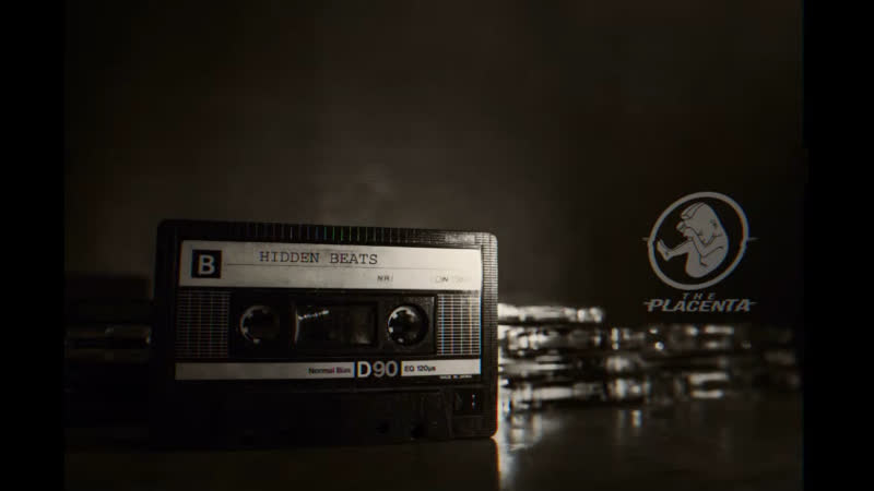 The placenta hidden beats (single) preview