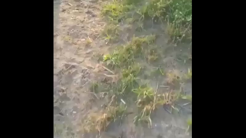 Клязьминское водохранилище