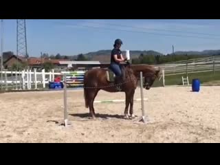 Toiletpaper challenge