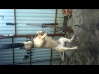 Сеня балуется))