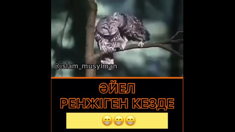 Әйел porn video – Әйел