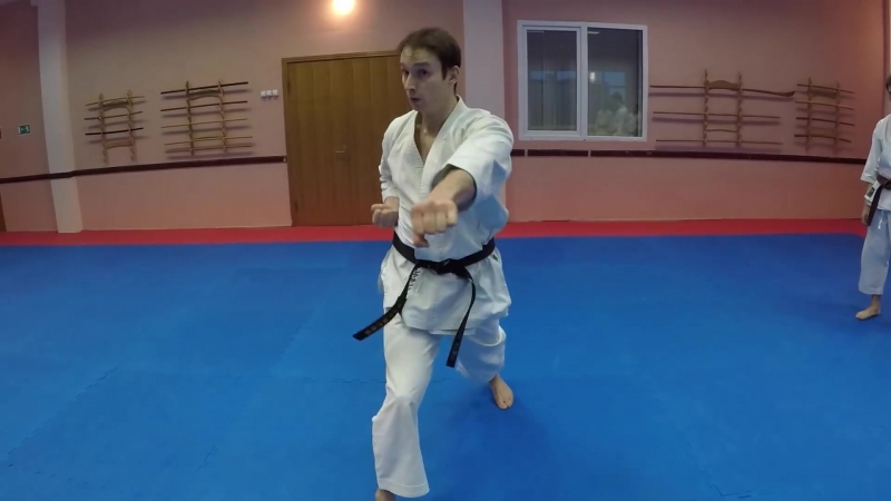 2 shotokan kata heian nidan (kwf standart) by alex chichvarin