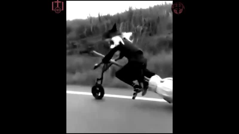 Летим возрождать