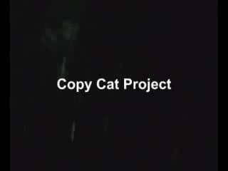 Copy cat progect