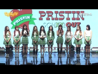 Pristin greetings @ schxxl out showcase