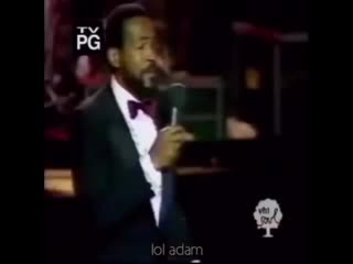 Cat jumping from horn to marvin gaye lets get it on