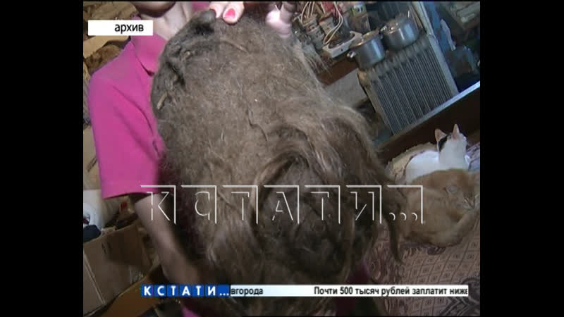 Похитители колтуна женщины маугли найдены и наказаны