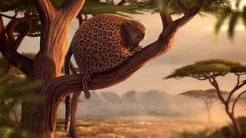Круглое сафари rollin safari